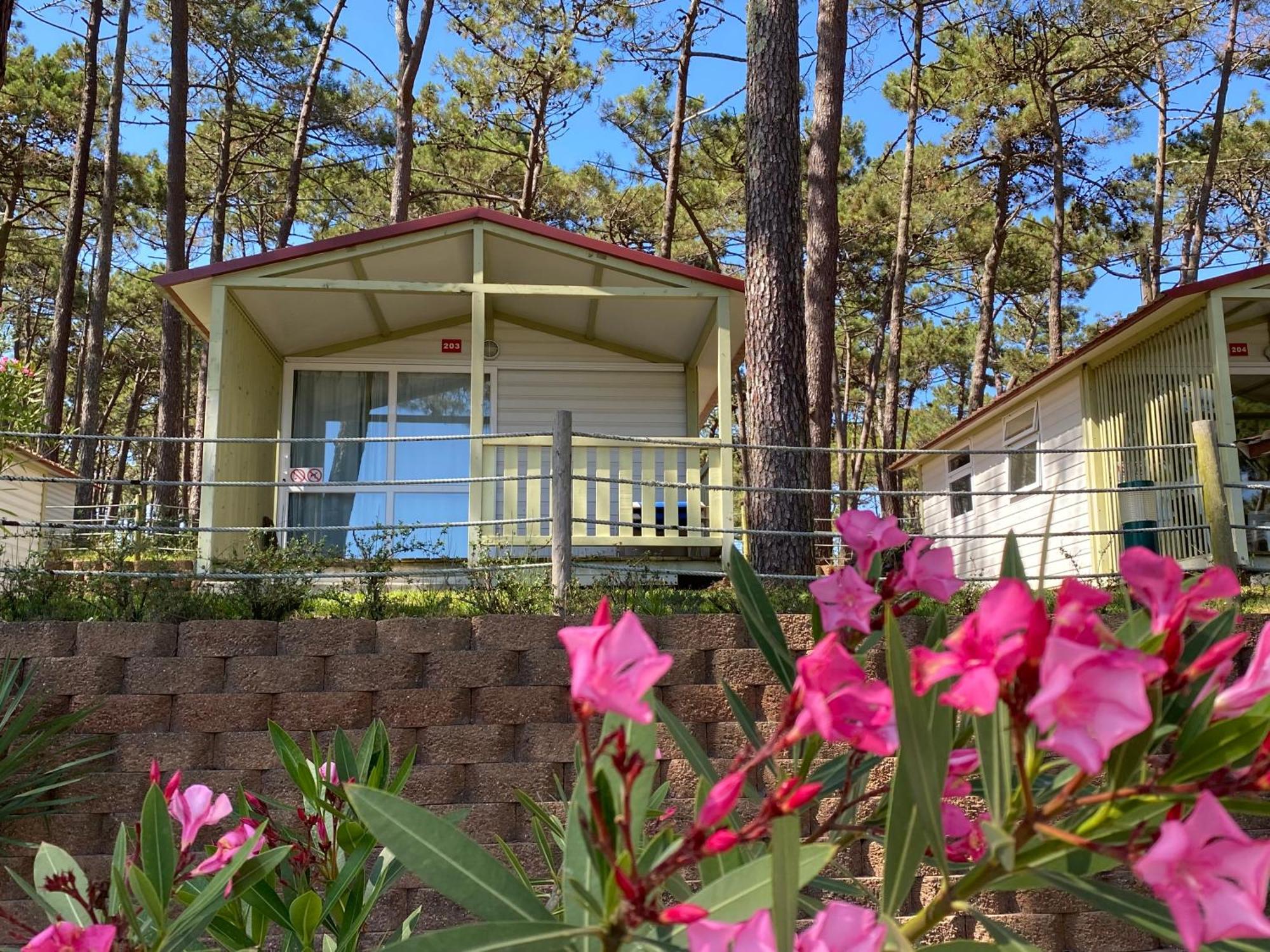 Parque De Campismo Orbitur Valado Hotel Nazaré Buitenkant foto